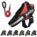 Personalized Reflective Breathable Adjustable Dog Harness and Leash