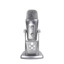 Microphone recording USB