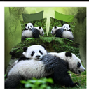 Printing and dyeing bedding 3D