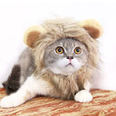 Funny Pet Hat For Small Dogs Cats Emulation