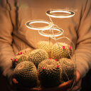 LED Grow Light Full Spectrum Phyto Lamp USB