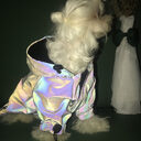 Fashion Dog Clothes Pet Dogs Hoodie for Coat