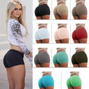 High Waist Stretch Fitness Yoga Gym Shorts Seamless