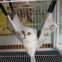 7 Colors Warm Hang Cat Bed Mat Soft