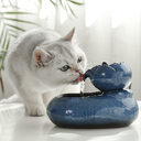 Cat feeder water