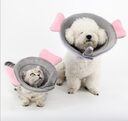 Pet Protection Collar Flower Grooming Kits Dog Bite