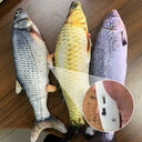Without Cat Nip Version - Electric Jumping Fish