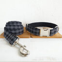 Pet leash training dog