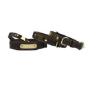 Pet lettering dog collar medium large neck