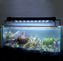 Aquarium Led Lighting Lamp Of Freshwater Fish Light