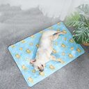 Pet ice mat summer cooling cat