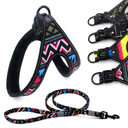 Colorful Dog Leash Walking Rope Small And Medium-sized