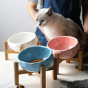 Pet bowl oblique mouth cat food dog method