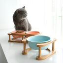 Ceramic cat bowl food