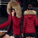 Slim cotton padded jacket and down