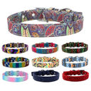 Pet Collar Double Layer Colorful Fabric Dog Traction