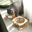 Glass cat bowl food