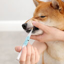 Pet Teeth Repairing Kit For Dog Cat Cleaning