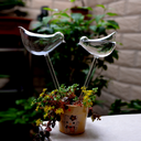 Glass Automatic Self Watering Bird Cans Flowers Plant