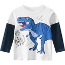 Baby Clothes Boy Cottoming Shirt Children Long Sleeve