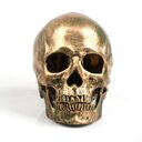Halloween resin skull