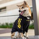 Corgi Schnauzer pet fashion brand three-stripe dog sweater