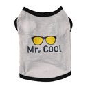 Pet clothes dog cat