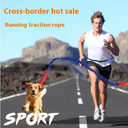 Fast selling new factory fitness belt