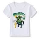 Children's T-shirt Numbers 1-9 Birthday