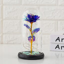 Preserved flower glass cover rose gift gifts