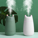 Cat spray humidifier