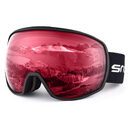 New double-layer anti-fog ski goggles
