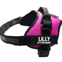 Pet Chest Harness Dog Leash Supplies