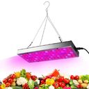 LED Plant Supplement Light For Growing Seedlings