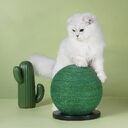 Cat Scratching Ball Board Toy Cactus Shape Scratch