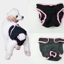 medium and large dog physiological pants