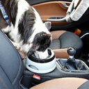 Pet Dog Bowls Floating Not Wetting Mouth Cat