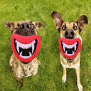 Dog Enamel Sounding Toy Pet Pacifier Molar Beak