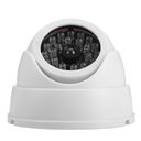 Realistic Dummy Surveillance Security Fisheye Camera with Flashing