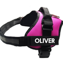 Pet Chest Harness Dog Leash Supplies