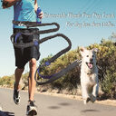 direct pet supplies multi-function running reflective pull dog