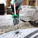Insect catcher Bug