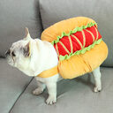 Dog hot clothes transformation outfit