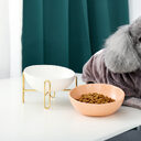 Pet bowl supplies