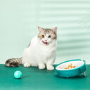 Cat Disposable Food Bowl Replaceable Portable Dog Feeders