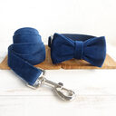 Bow pet collar large and small traction dog