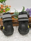 Pet shoes wear dog
