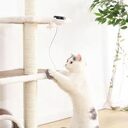 Pet Cat Toy Electronic Motion Interactive