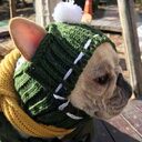 Funny woolen hat for pets to keep warm