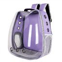 Cat Bag Transparent Outgoing Portable